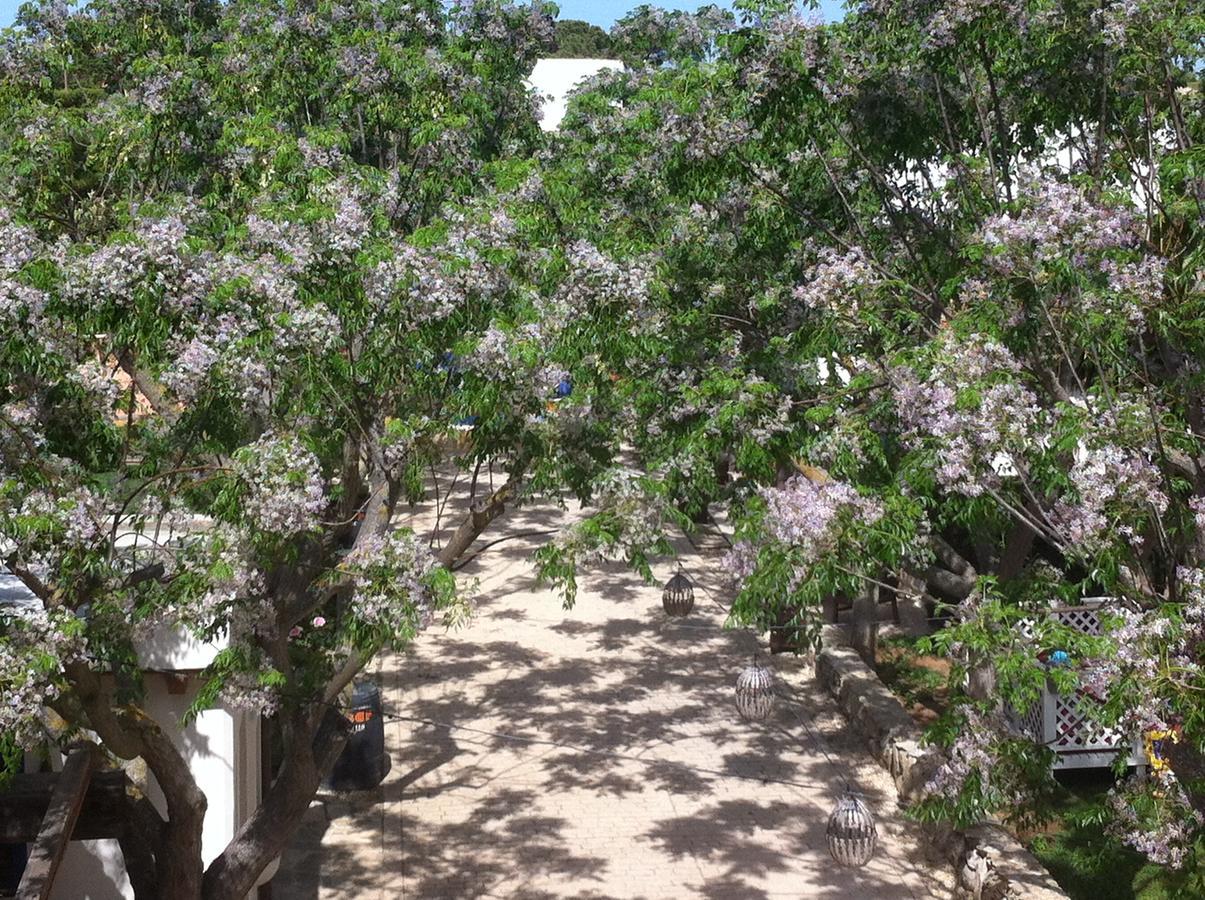 קוניל דה לה פרונטרה Paraiso Perdido מראה חיצוני תמונה